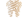 Hatosmosoly